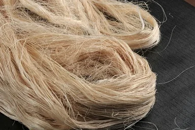 banana-fiber-500x500 banana-fiber-500x500