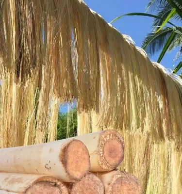 banana-fibre banana-fibre